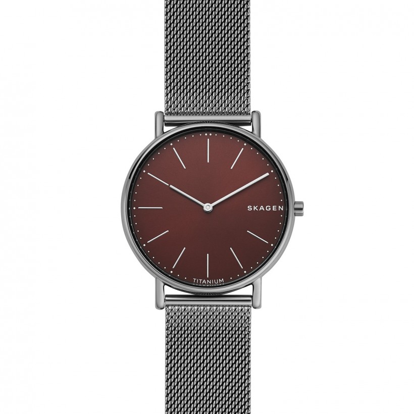 Skagen Signatur Titanium Case Men's Watch SKW6485