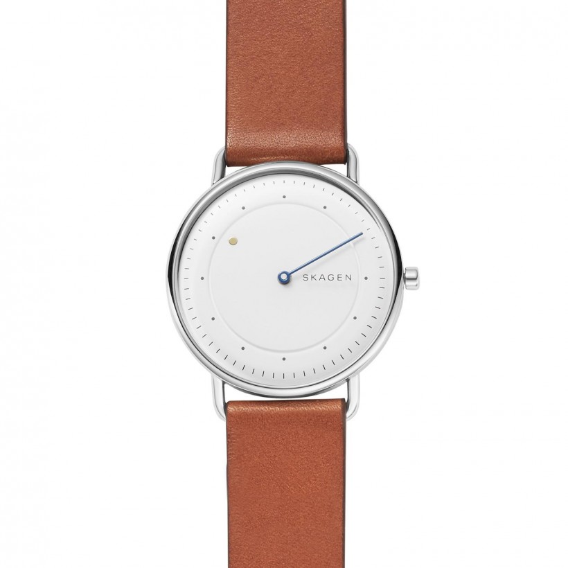 Skagen Horizont Stainless Steel Case Men's Watch SKW6487