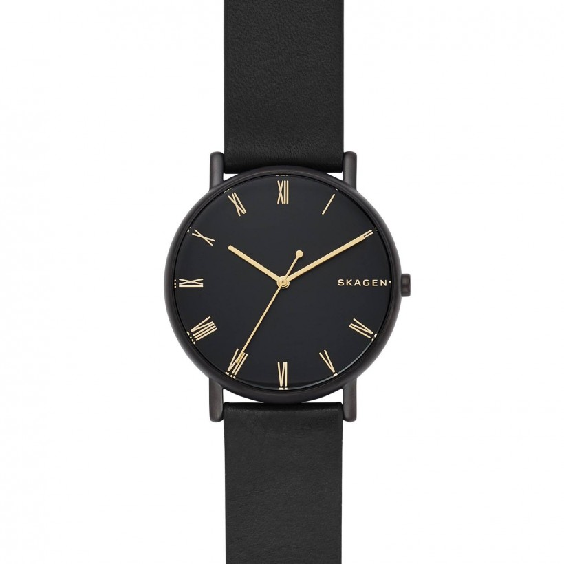 Skagen   Case  Watch SKW6489