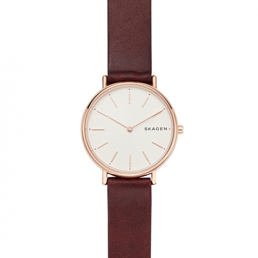 Skagen Signatur Stainless Steel Case Women's Watch SKW8200