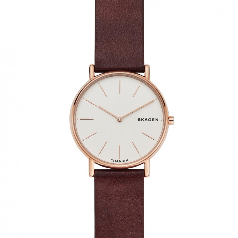 Skagen Signatur Titanium Case Men's Watch SKW8600