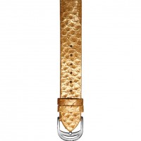 Glamour Gold Python Strap