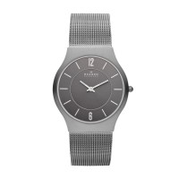 Skagen Grenen Titanium Stainless Steel Mesh