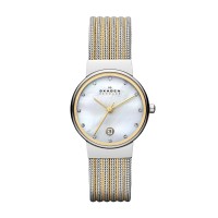Skagen Ancher Stainless Steel Mesh