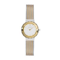 Skagen Leonora Stainless Steel Mesh