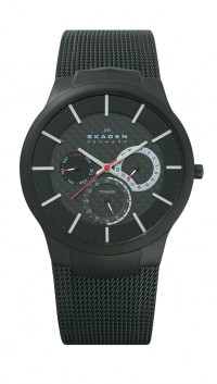 Skagen Titanium Stainless Steel Mesh