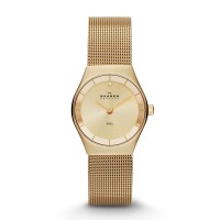 Skagen Grenen Stainless Steel Mesh