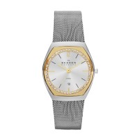 Skagen Asta Stainless Steel Mesh