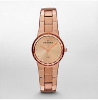 Skagen Stine Stainless Steel