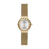 Skagen Leonora Stainless Steel Mesh