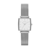 Skagen Strand Stainless Steel Mesh