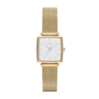 Skagen Strand Stainless Steel Mesh
