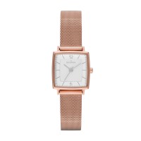Skagen Strand Stainless Steel Mesh