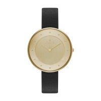 Skagen Gitte Stainless Steel Leather