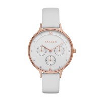 Skagen Anita Stainless Steel Leather