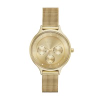 Skagen Anita Stainless Steel Mesh