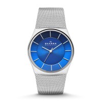 Skagen Havene Stainless Steel Mesh