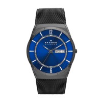 Skagen Melbye Titanium Stainless Steel Mesh